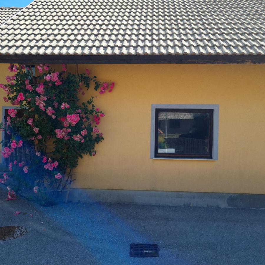 Apartma Nina Bohinj Εξωτερικό φωτογραφία
